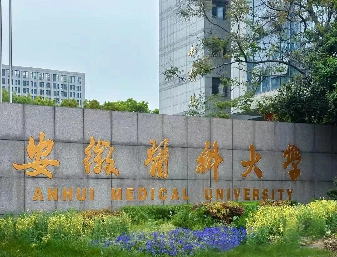 實(shí)力護(hù)航！熱烈祝賀我公司成功承接安徽醫(yī)科大學(xué)新醫(yī)科中心舞臺防火大幕項目